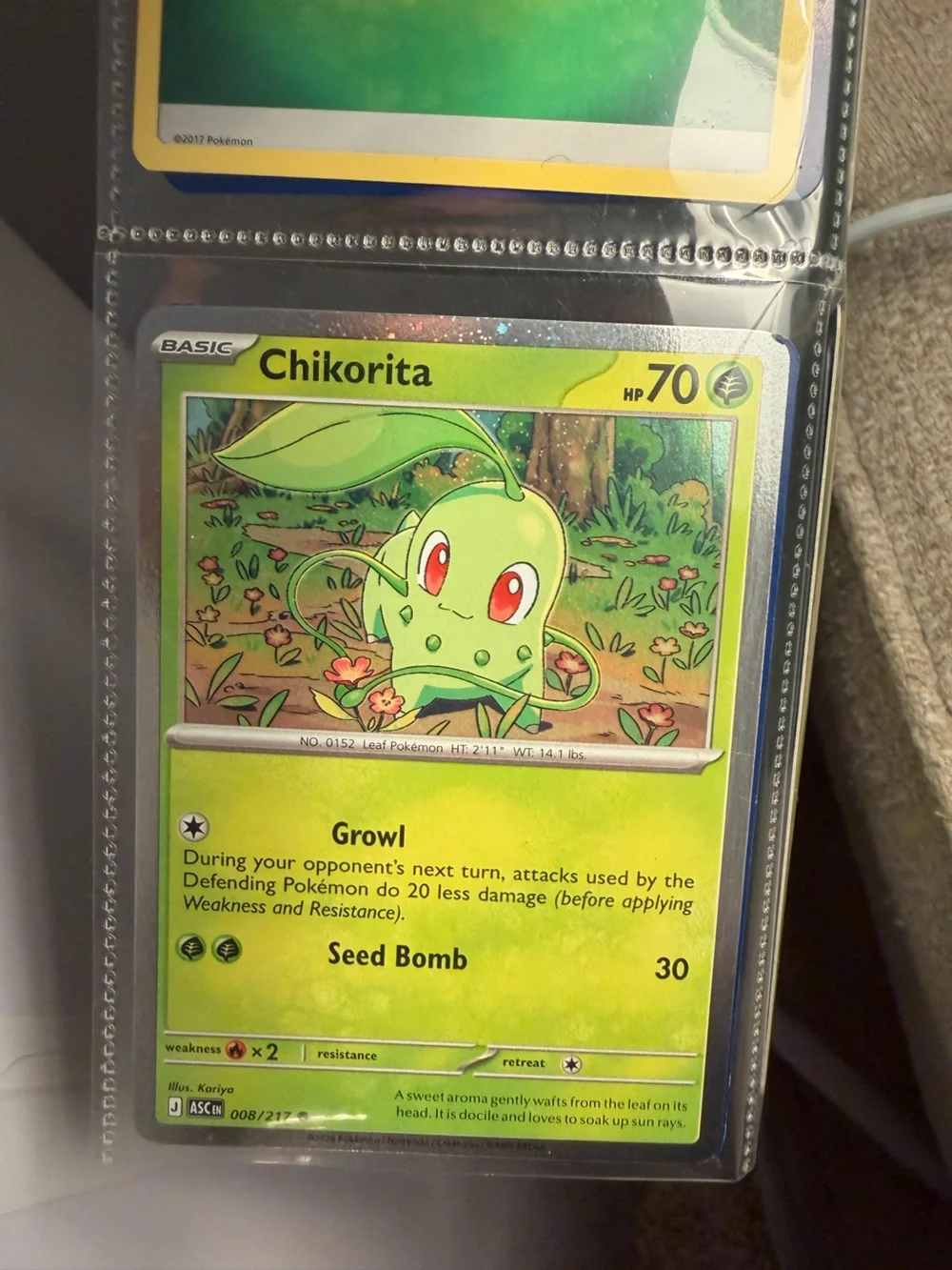Pokemon collection green